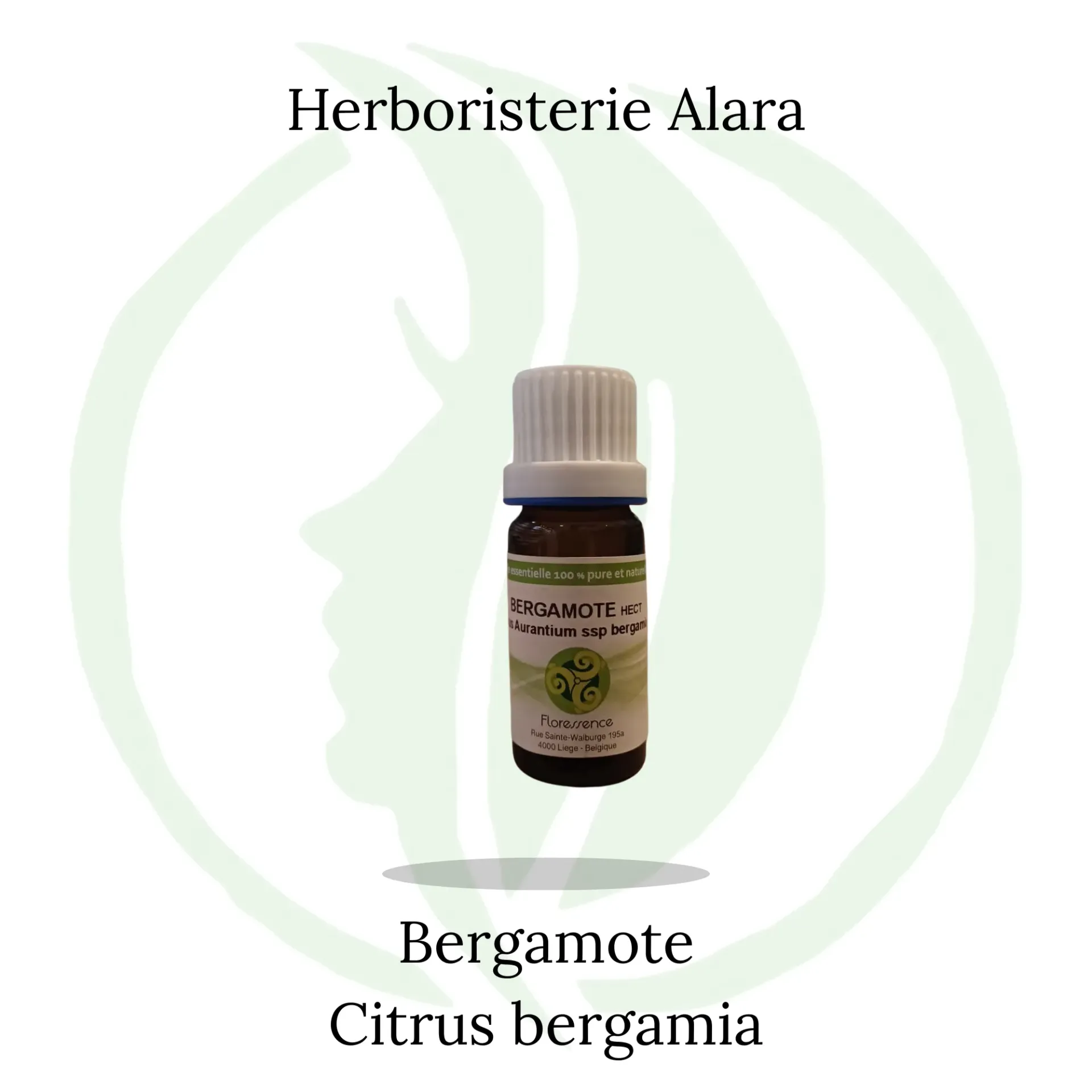 Bergamotier (Citrus Aurantium ssp bergamia) - 10ml