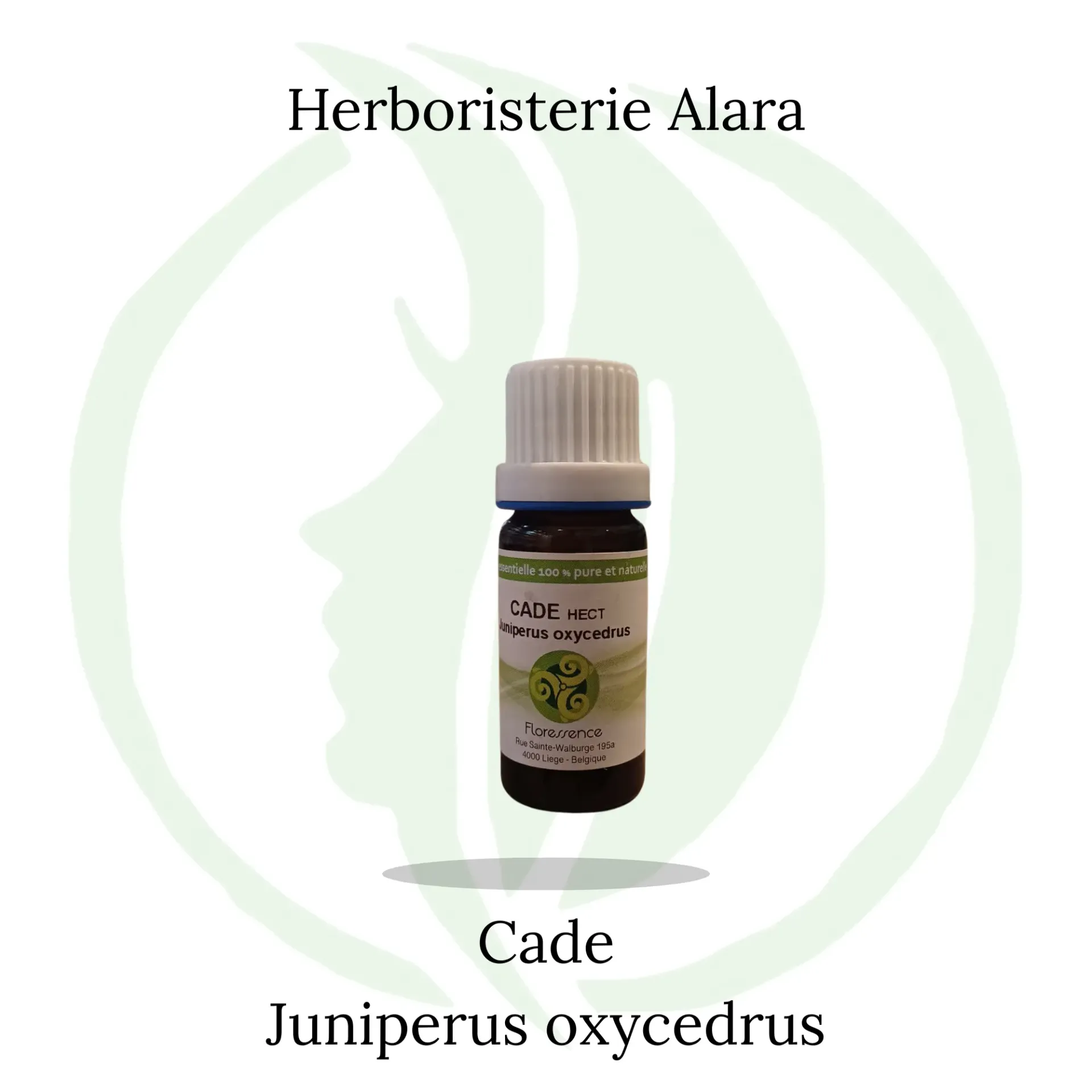 Cade (Juniperus Oxycedrus)  - 10ml
