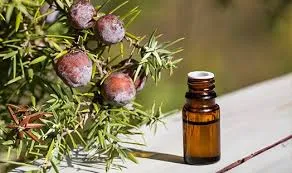 Cade (Juniperus Oxycedrus)  - 10ml