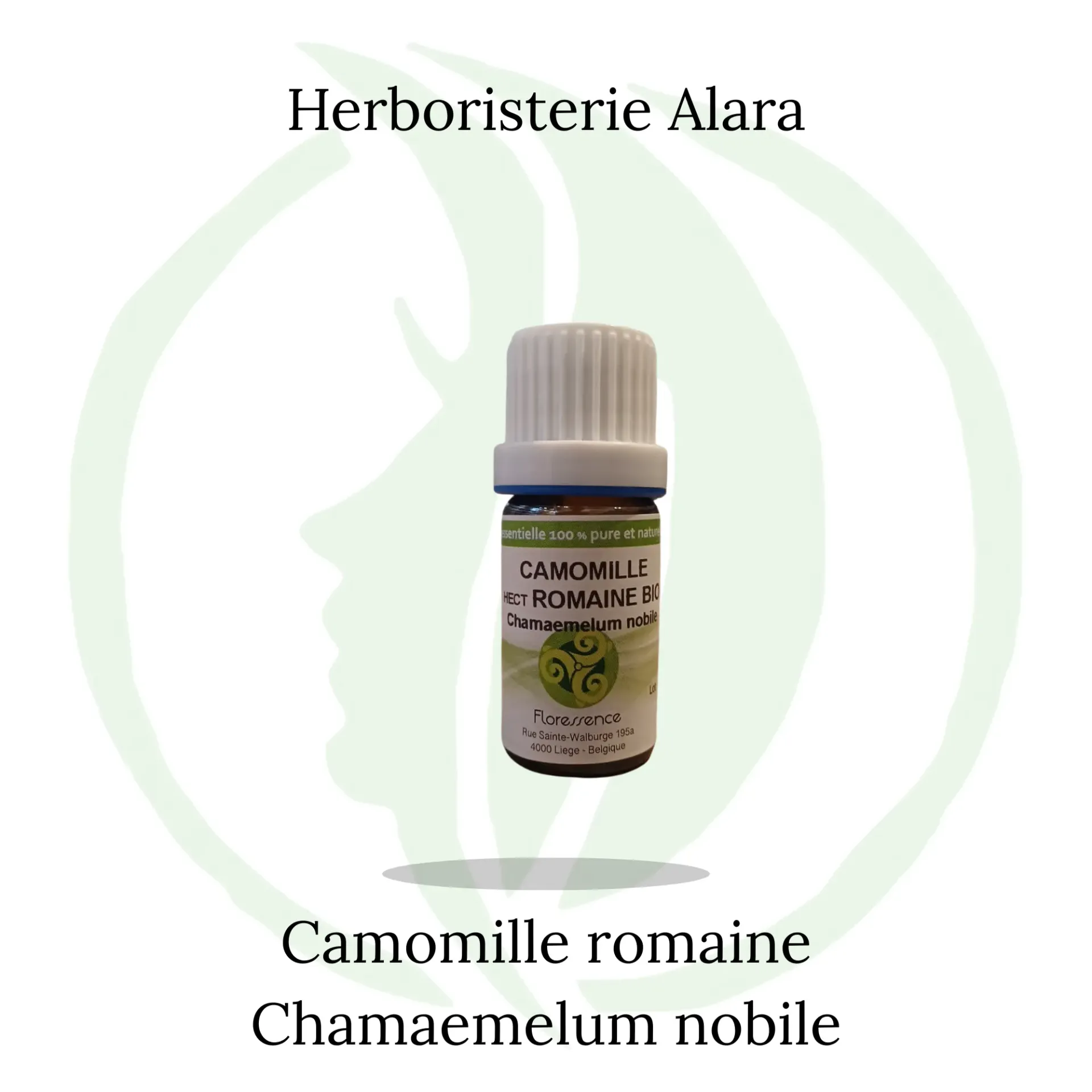 Camomille romaine Bulgare (Chamaemelum Nobile) BIO - 5ml