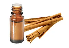 Cannelle de Ceylan écorce(Cinn. Verum) BIO - 10ml