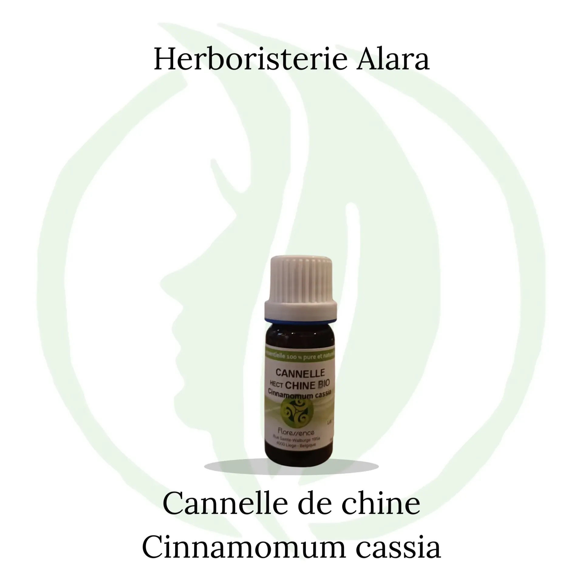 Cannelle de Chine (Cinnamomum Cassia) BIO - 10ml