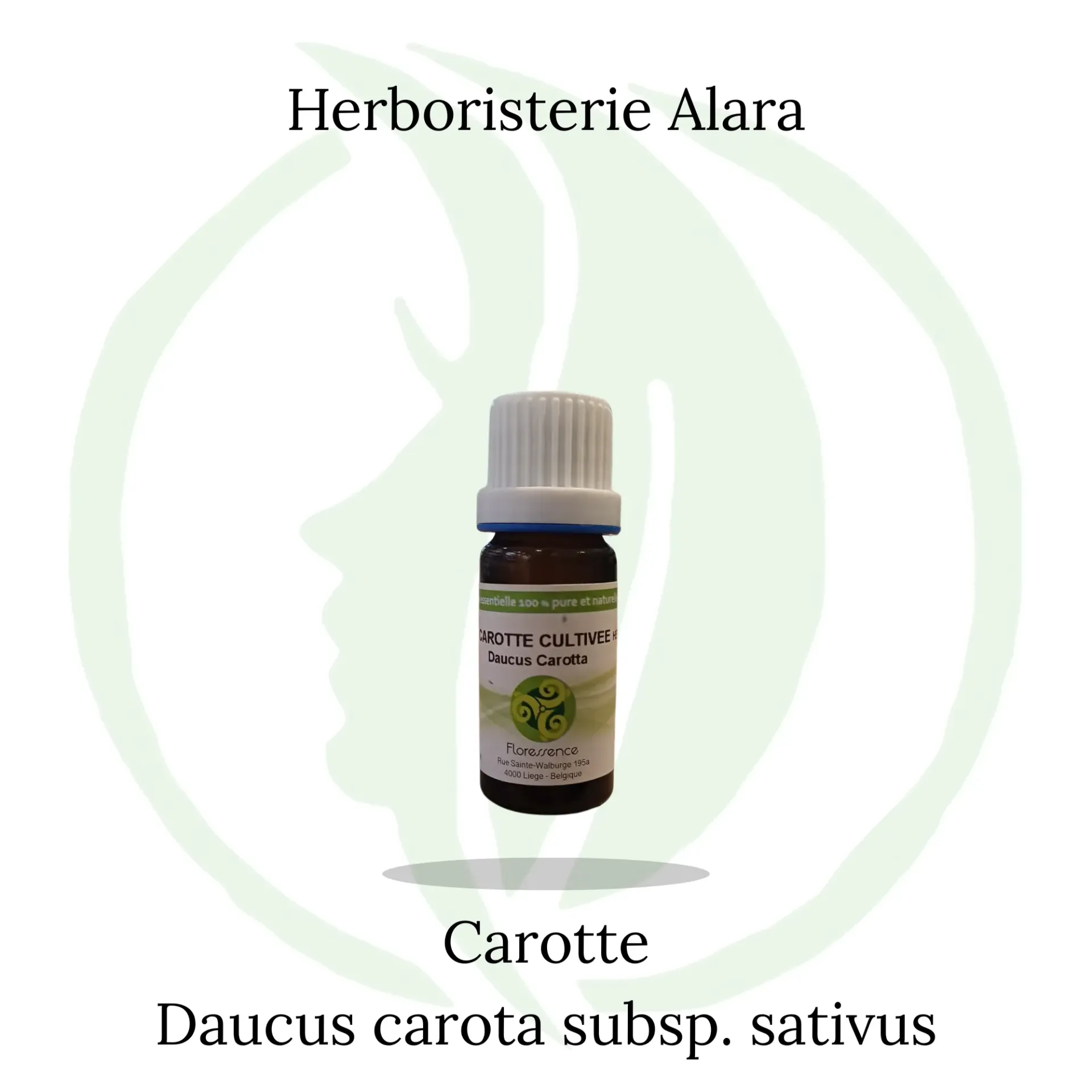 Carotte cultivée (Daucus Carota) - 10ml