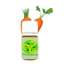 Carotte cultivée (Daucus Carota) - 10ml