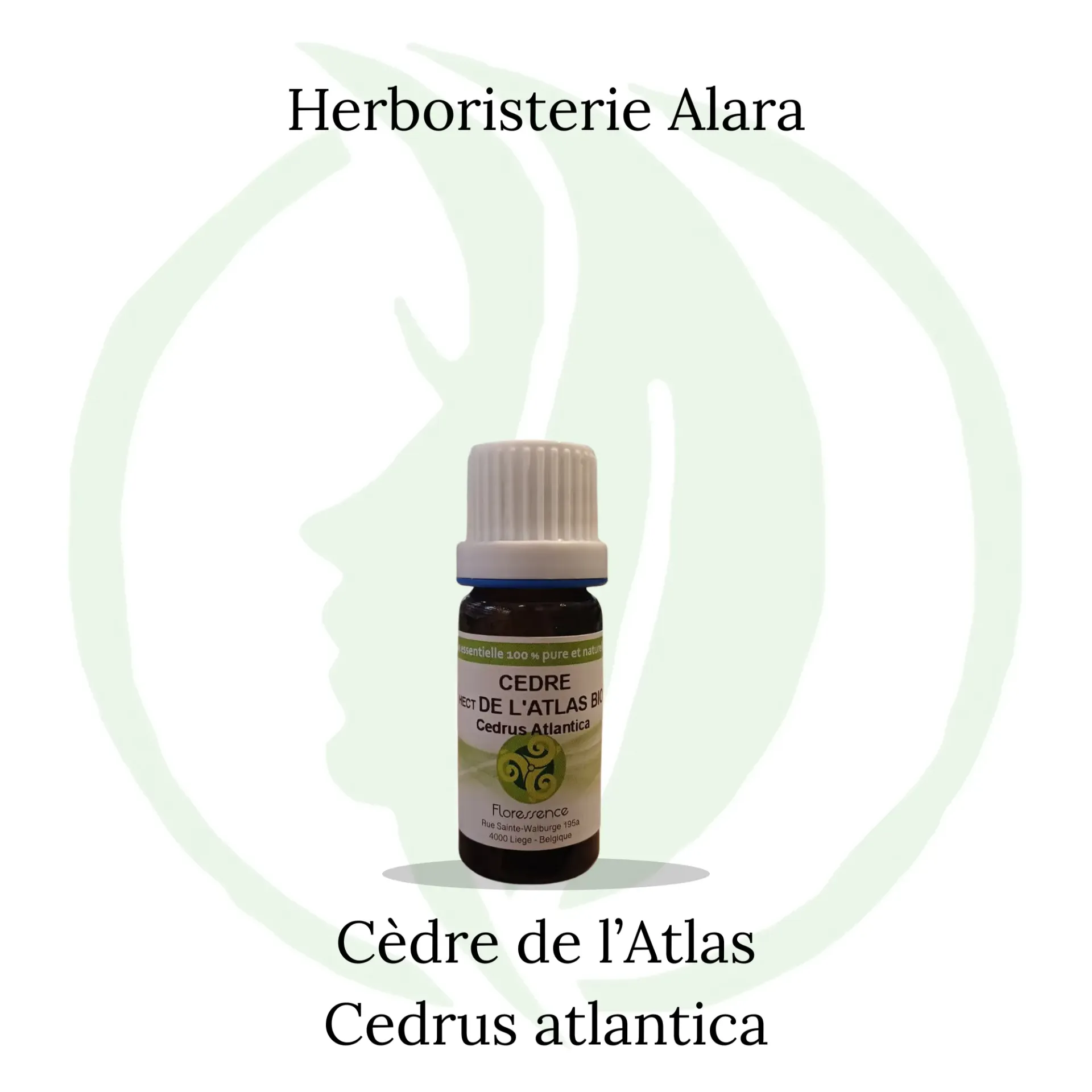 Cèdre de l'Atlas (Cedrus Atlantica) BIO - 10ml