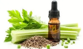 Céleri (Apium Graveolens) - 10ml
