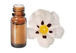 Ciste Ladanifère à pinène (Cistus Ladaniferus) BIO - 5ml