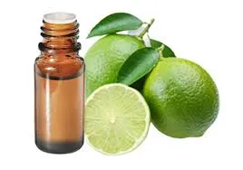 Citron vert 10ml