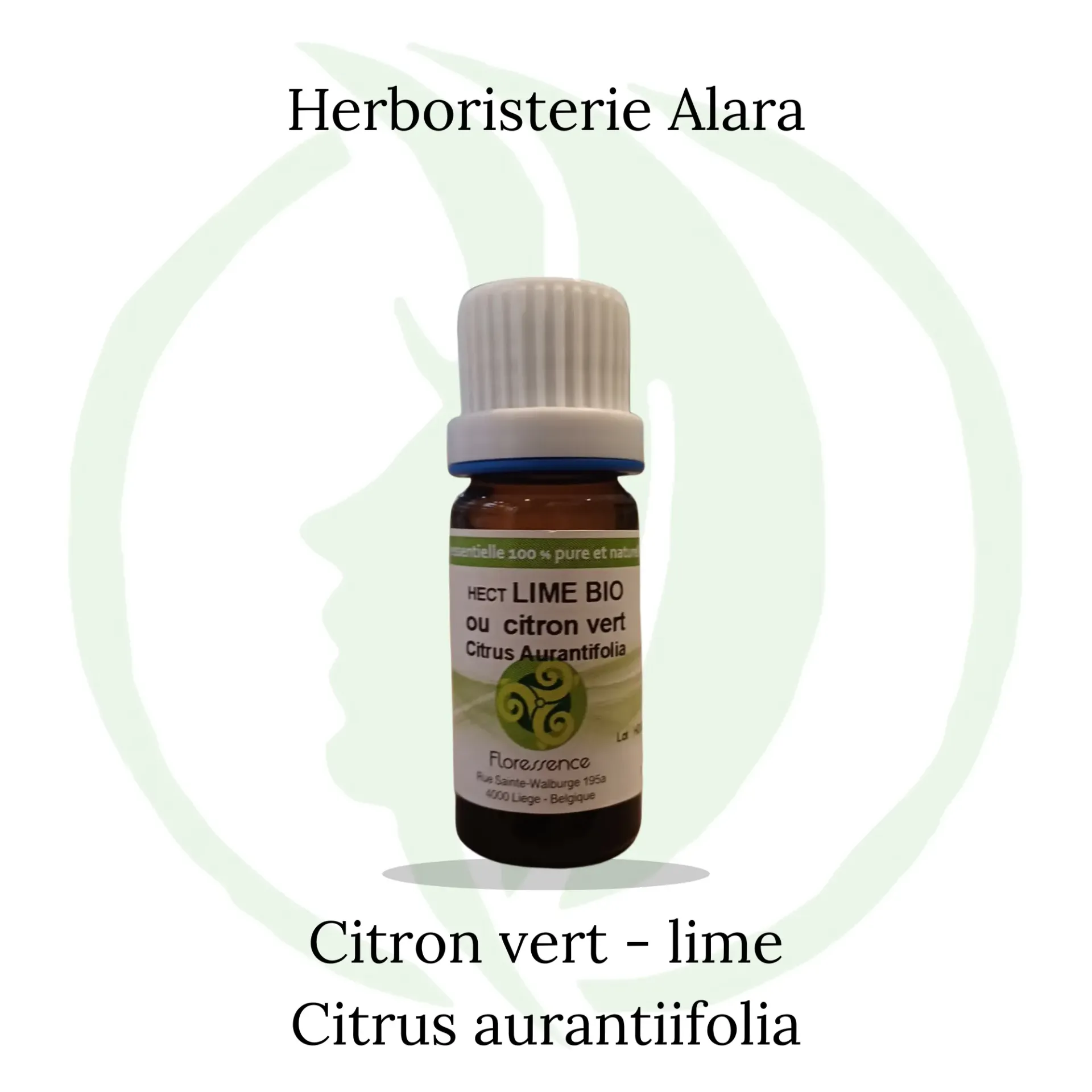 Citron vert 10ml