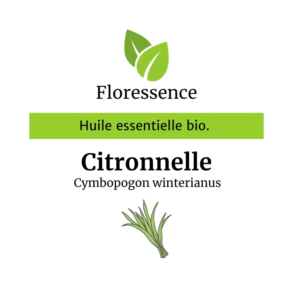Citronnelle de Java ( Cymbopogon Winter.) BIO - 10ml