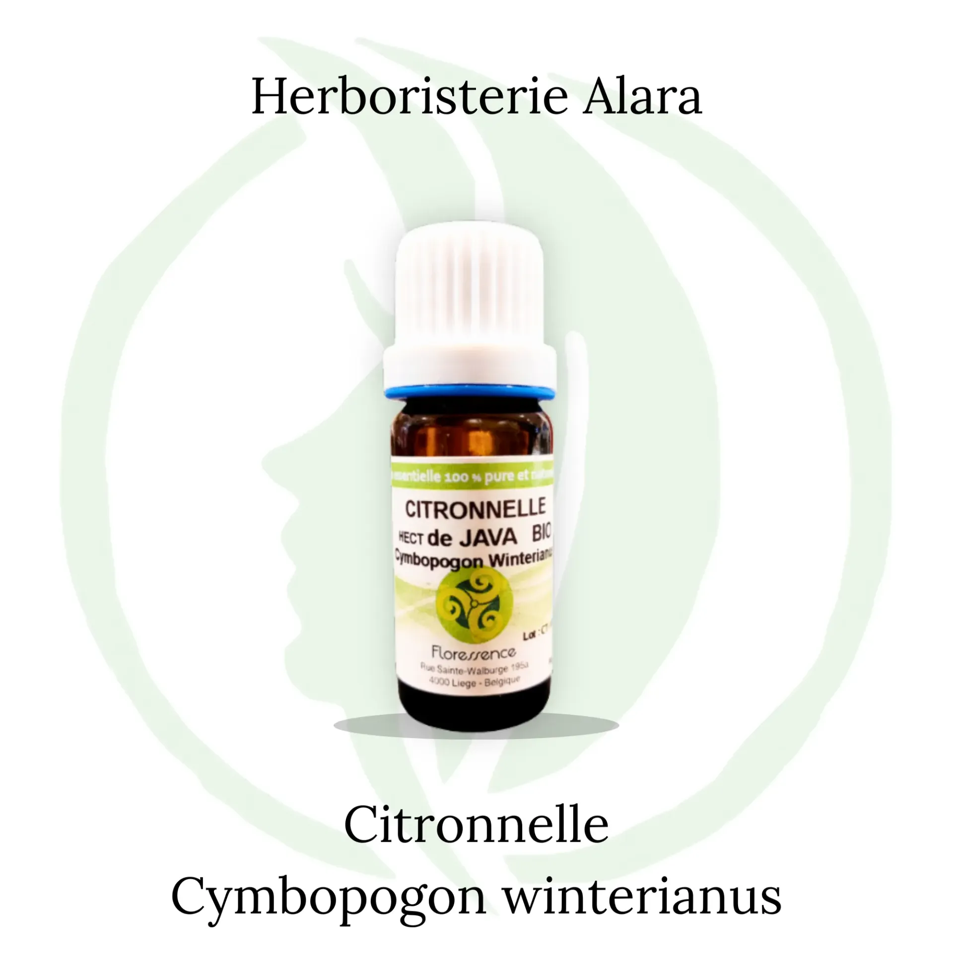 Citronnelle de Java ( Cymbopogon Winter.) BIO - 10ml