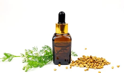 Coriandre (Coriandrum Sativum) BIO - 10ml