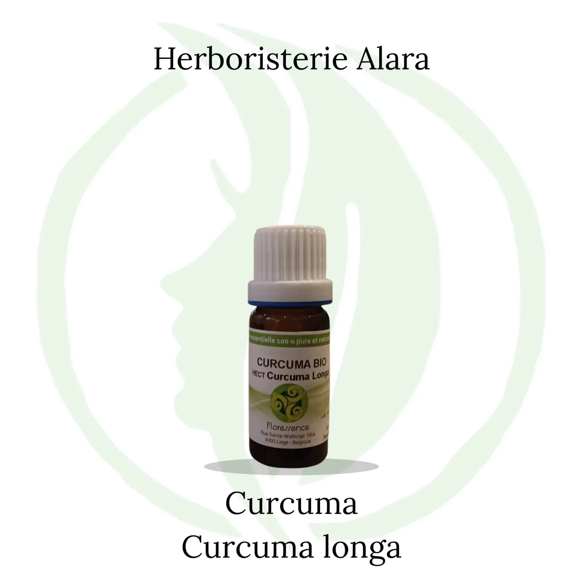 Curcuma (Curcuma Longa) BIO - 10ml