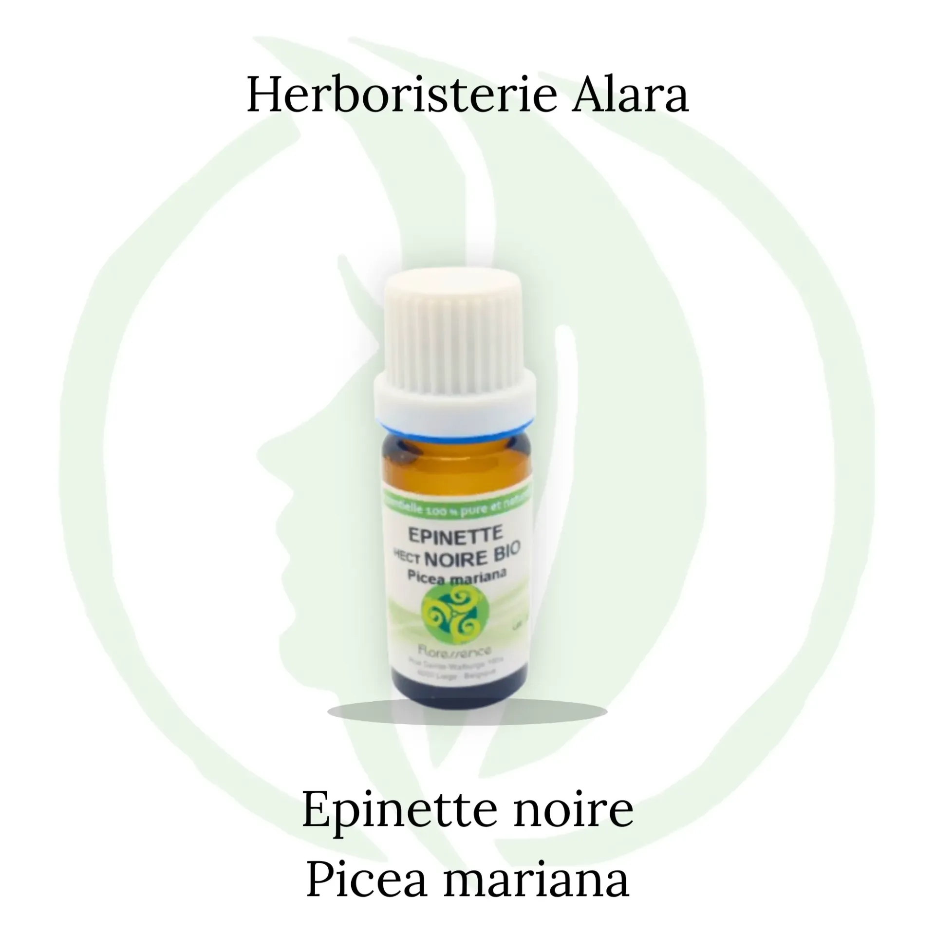 Epinette noire (Picea Mariana) BIO - 10ml