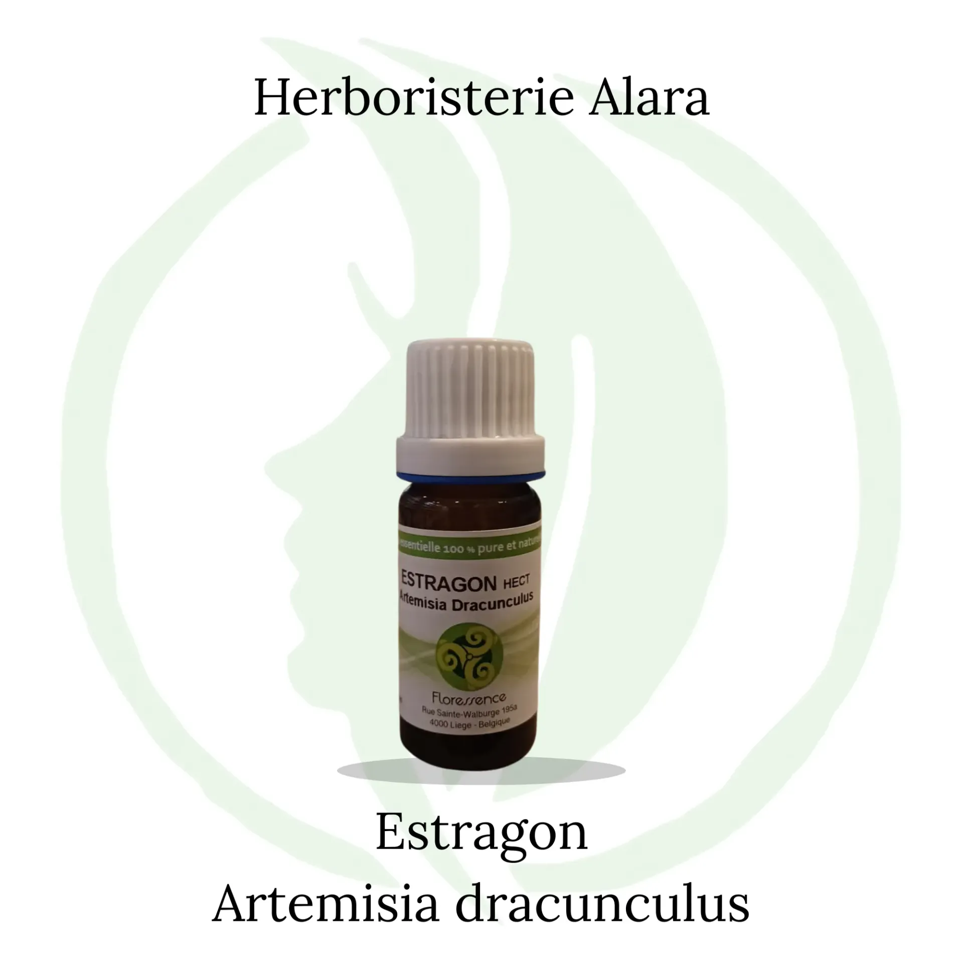 Estragon (Artemisia Dracunculus) BIO - 10ml