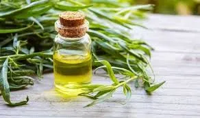 Estragon (Artemisia Dracunculus) BIO - 10ml