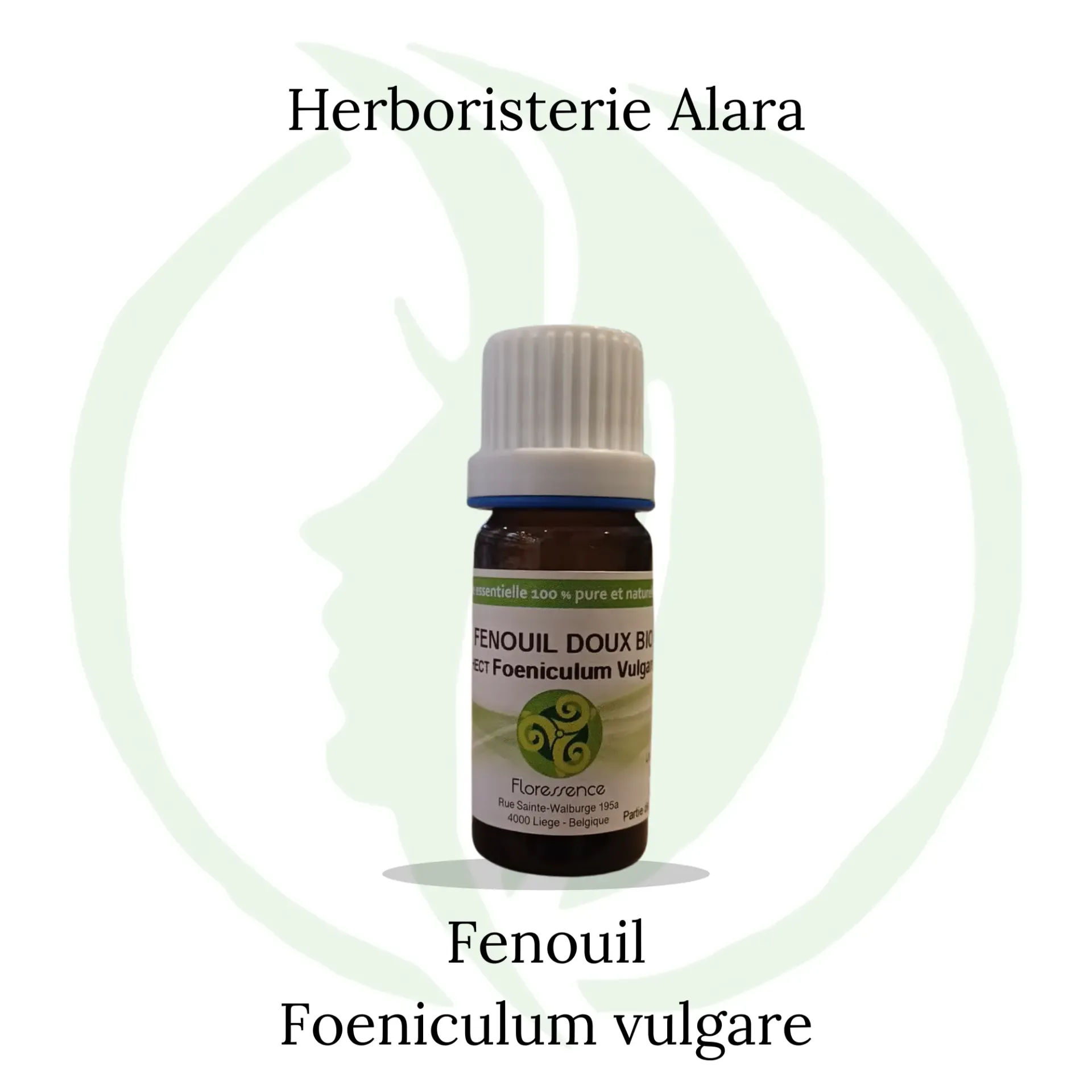 Fenouil doux (Foeniculum Vulgare) BIO - 10ml