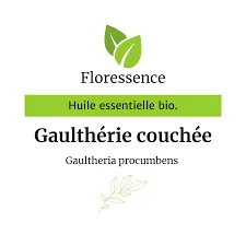 Gaulthérie Couchée (Gaultheria Procumbens) BIO - 10ml