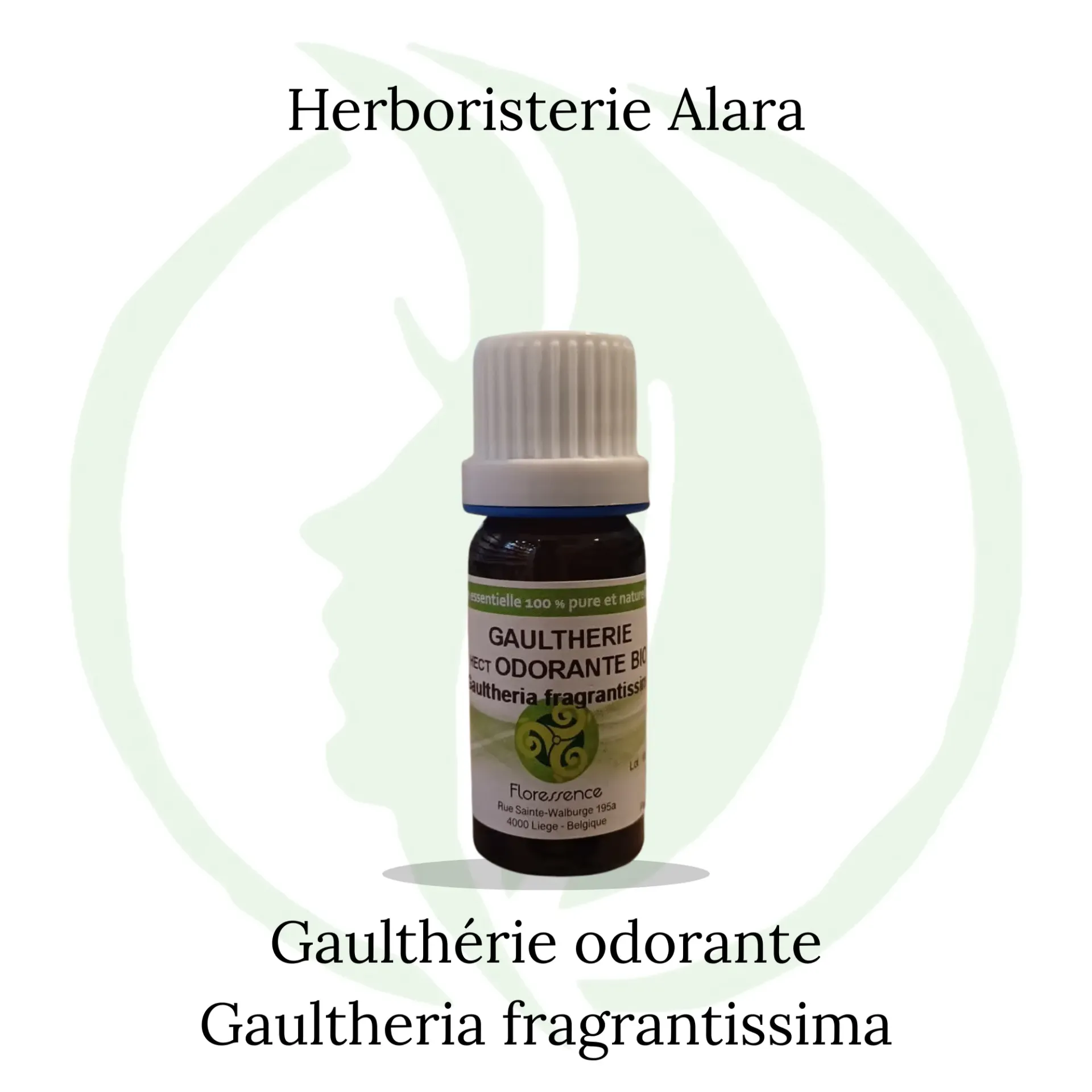 Gaulthérie odorante (Gaultheria Fragrantissima) BIO - 30ml
