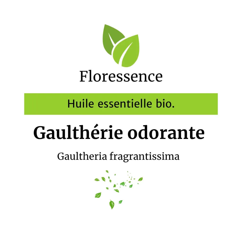 Gaulthérie odorante (Gaultheria Fragrantissima) BIO - 30ml