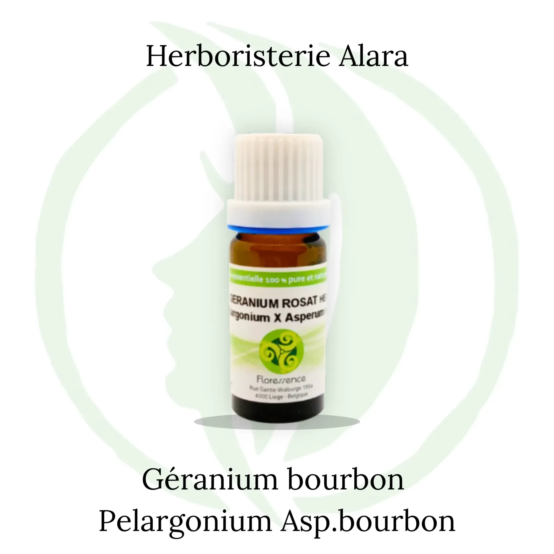 Géranium bourbon (Pelargonium Asp.bourbon) BIO - 10ml
