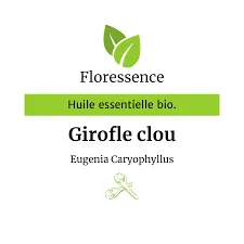 Girofle clou (Eugenia Caryophyllus) BIO - 10ml