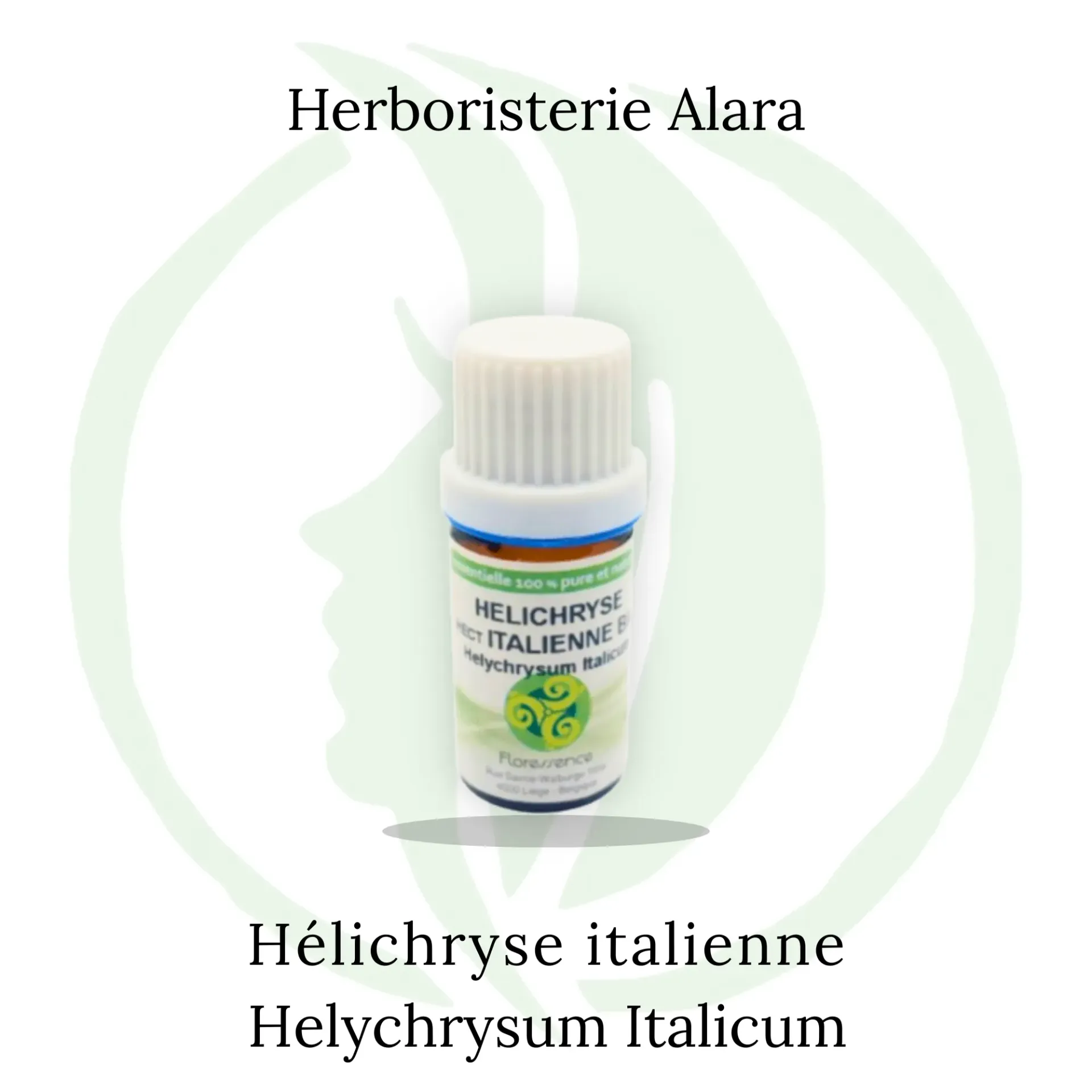 Helichryse Italienne (Hélichrysum Italicum) Corse BIO - 5ml