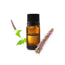Hysope Off.couchée (Hys.Off.var.Decumbens) BIO - 10ml