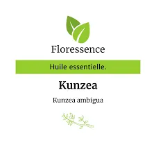 Kunzea (Kunzea Ambigua) - 5ml