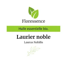 Laurier noble (Laurus Nobilis) BIO - 10ml