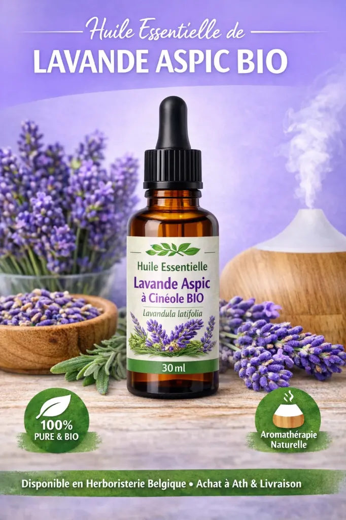 Lavande aspic  à cinéole (Lavandula Latifolia) BIO - 30ml