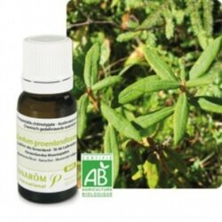 Ledon groenland 10ml pranarom liquidation promo