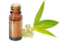 Litsée citronnée (Litséa Citrata ou cubeba) BIO - 10ml