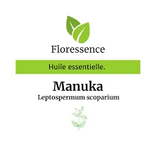 Manuka (Leptospermum Scoparium) - 5ml