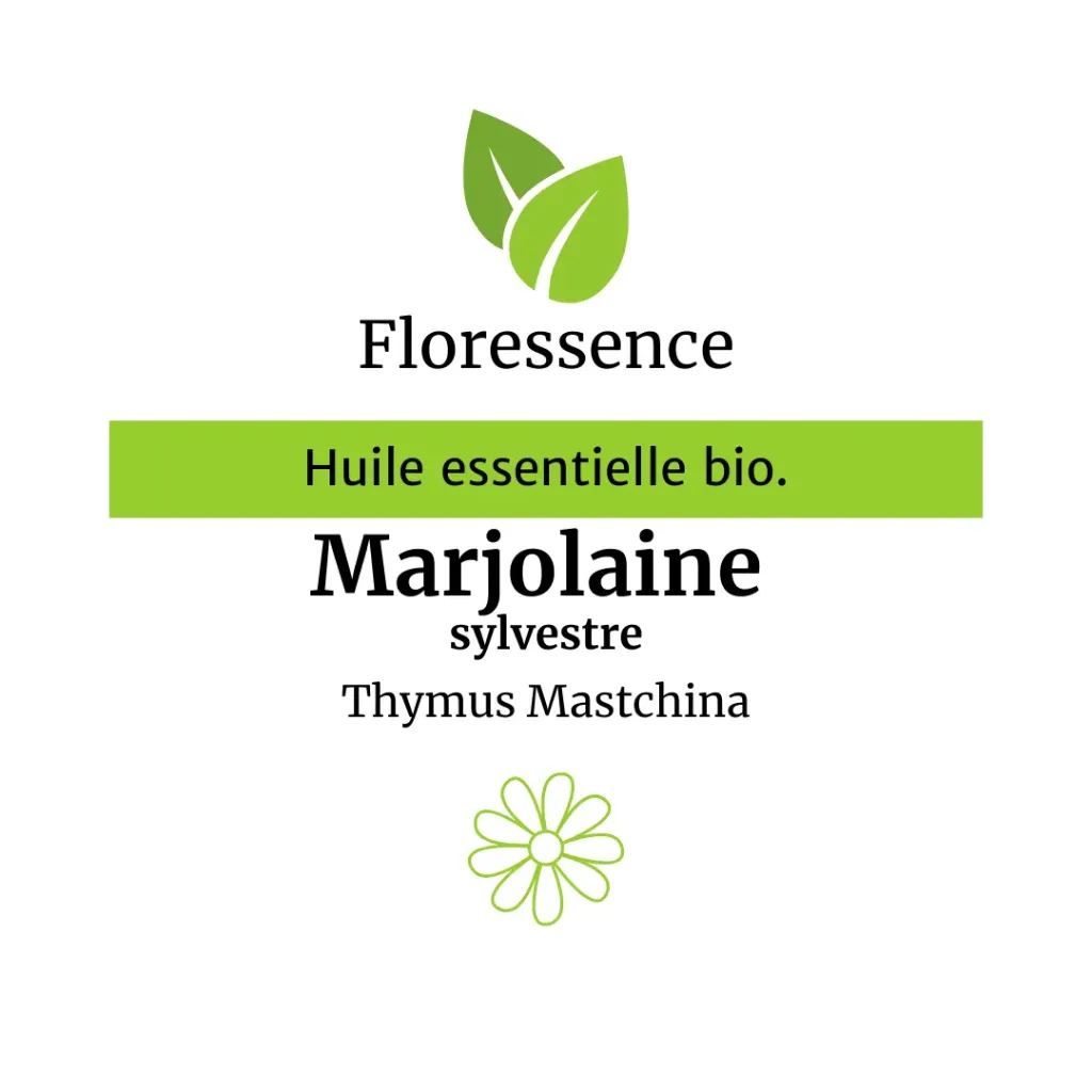 Marjolaine coquille 10ml