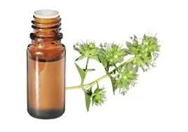 Marjolaine sylvestre (Thymus Mastichina) BIO - 10ml