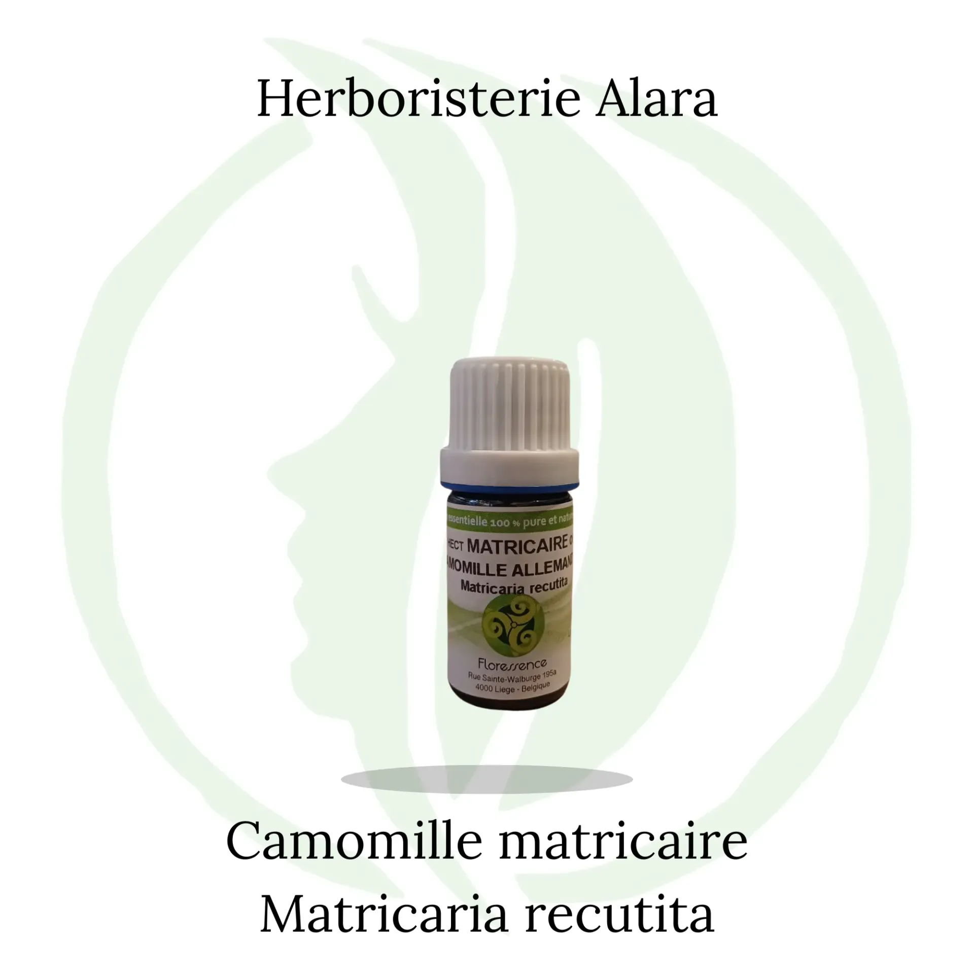 Camomille Matricaire (Matricaria Recutita) Népal BIO - 5ml