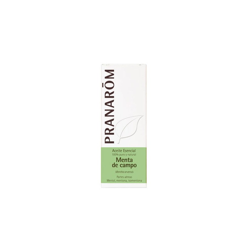 Menthe des champs verte 10ml pranarom liquidation