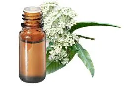 Myrte citronnée (Backhousia Citriodora) BIO - 5ml