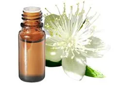 Myrte rouge (Myrtus communis myrtenylacetatiferum) BIO - 10ml