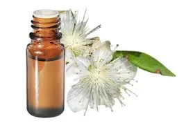 Myrte verte à cinéole (Myrtus Com.cinéol.) BIO - 5ml