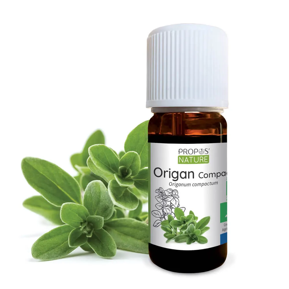 Origan compact sauv. (Origanum Compactum) BIO - 10ml