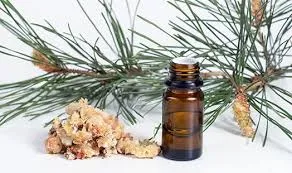 Pin maritime Térébent. (Pinus Pinaster-Thér) BIO - 10ml