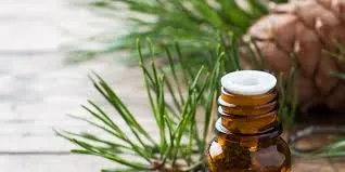 Pin sylvestre (Pinus Sylvestris) BIO - 10ml