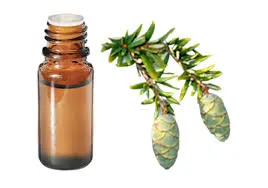 Pruche 10ml
