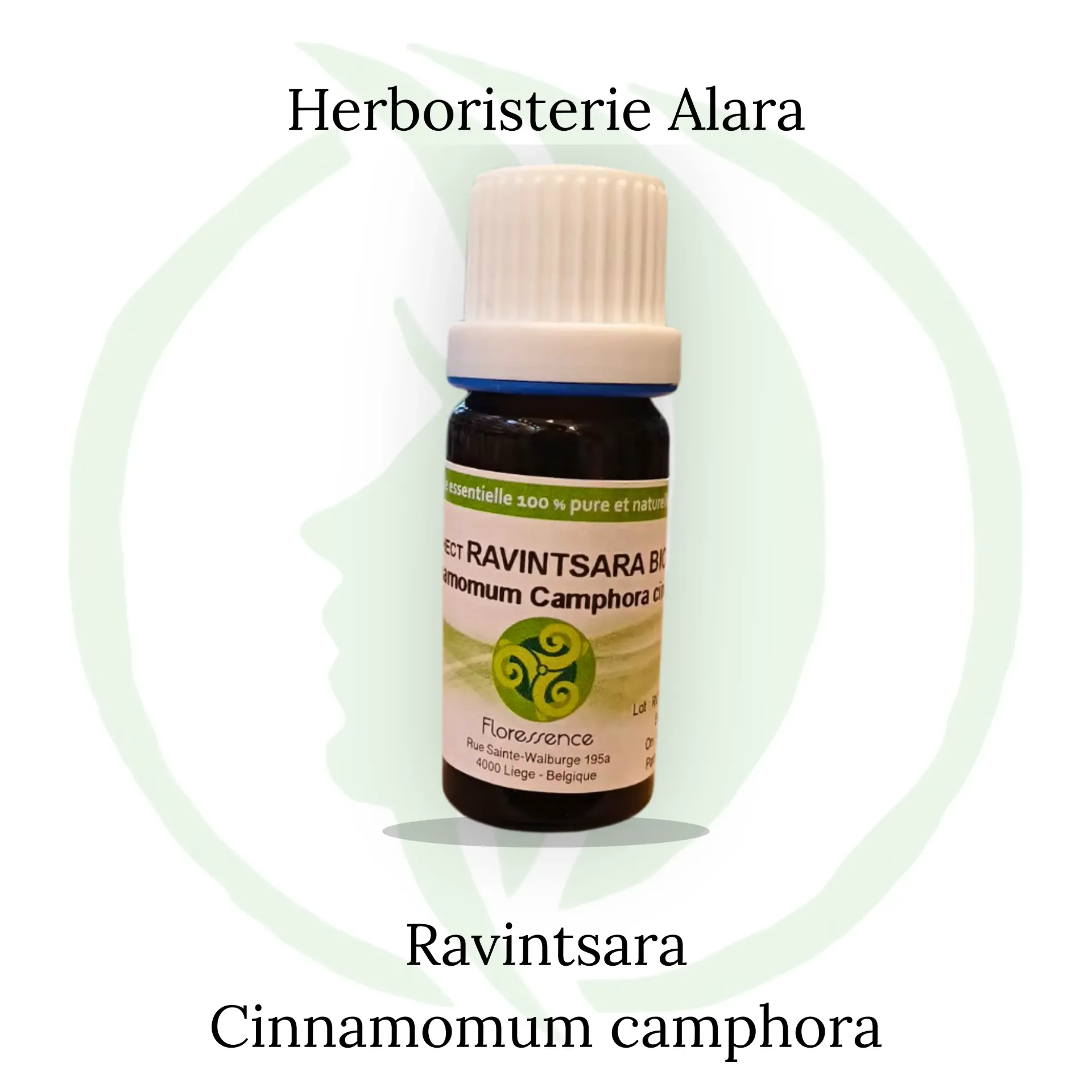Ravintsara (Cinnamomum Camphora cinéole) BIO - 10ml