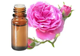 Rose de Damas (Rosa Damascena) Absolue - 5ml