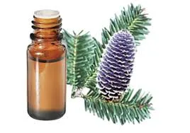 Sapin baumier (Abies Balsamea) BIO - 10ml