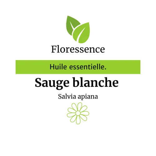 Sauge blanche Sauvage - Salvia Apiana - 5ml  - floressence