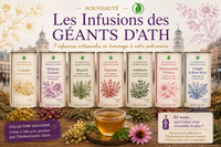 Ducasse d'Ath